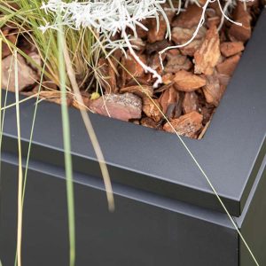 detail cvetličnega korita